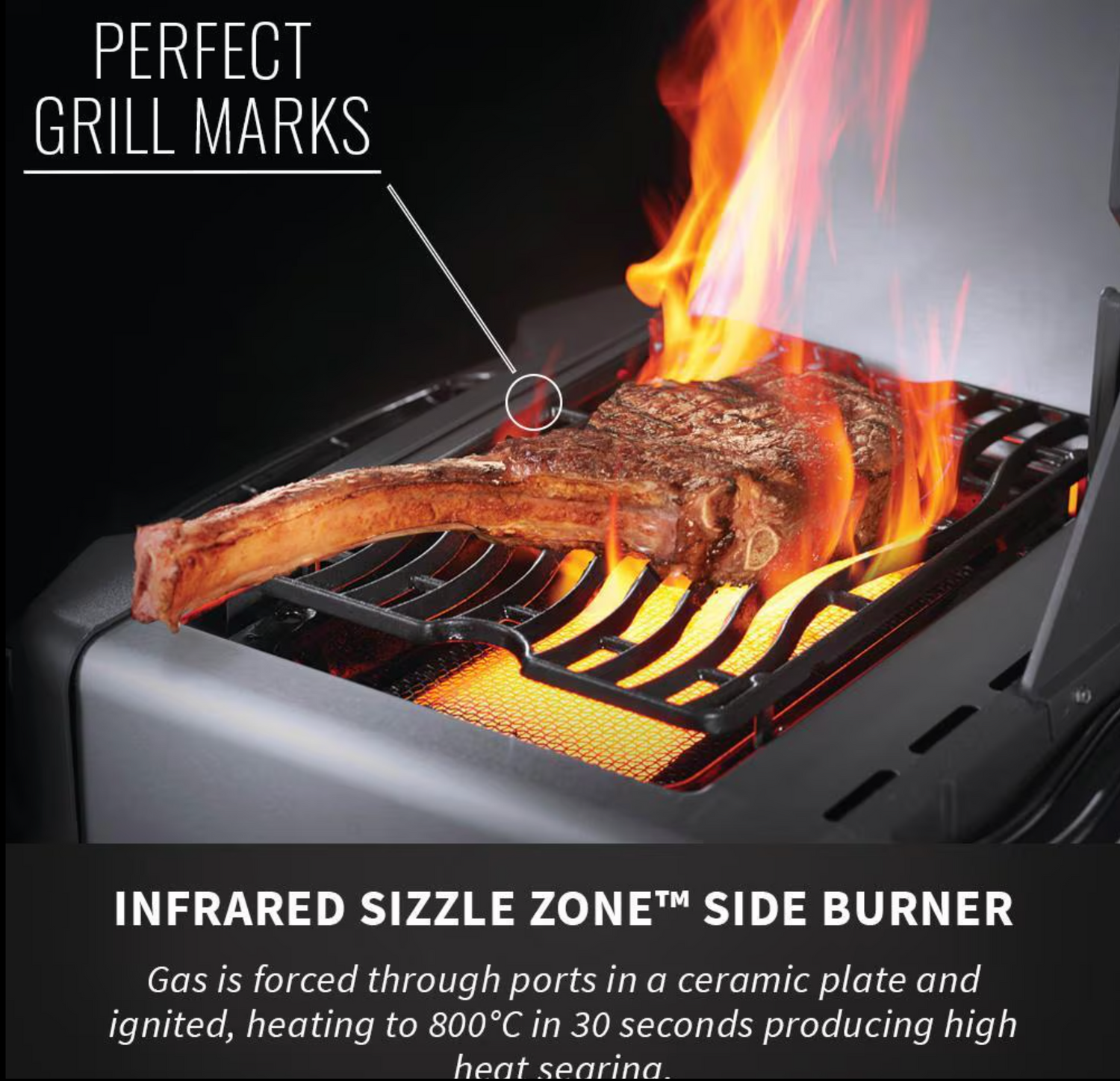 Napoleon Legacy Prestige 500 4-Burner Propane Grill w/ Rotisserie & Side Burner - P500RSIBPSS-3