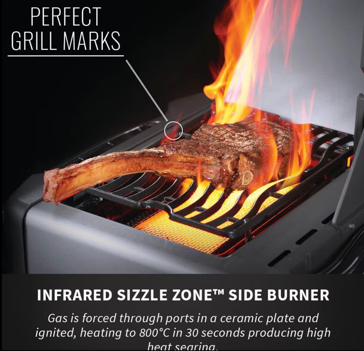 Napoleon Legacy Prestige 500 4-Burner Natural Gas Grill w/ Rotisserie & Side Burner - P500RSIBNSS-3