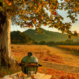 Big Green Egg 13 in. MiniMax Charcoal Kamado Grill and Smoker Green