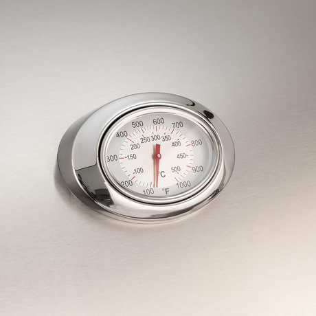 Fire Magic - CM430I-RT1N - Choice Multi-User 24-Inch Built-In Natural Gas Grill - Analog Thermometer 
