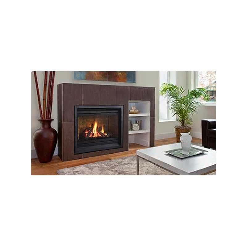 P36de Gas Fireplace, Traditional Gas Fireplaces, Grills, Miami FL